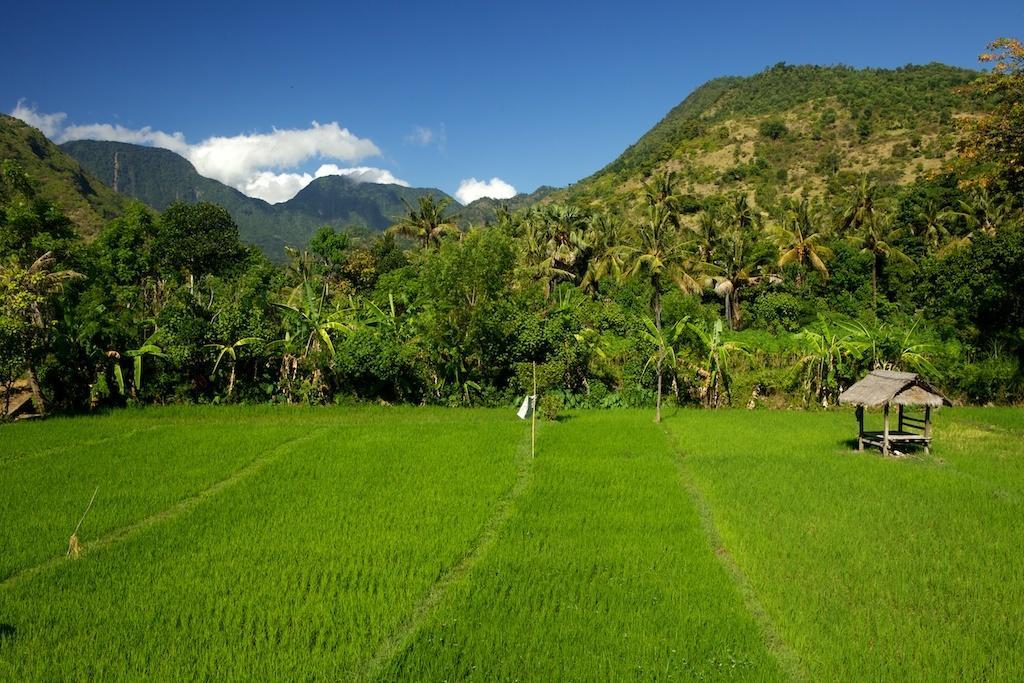 The Kampung Vila Amed Exterior foto